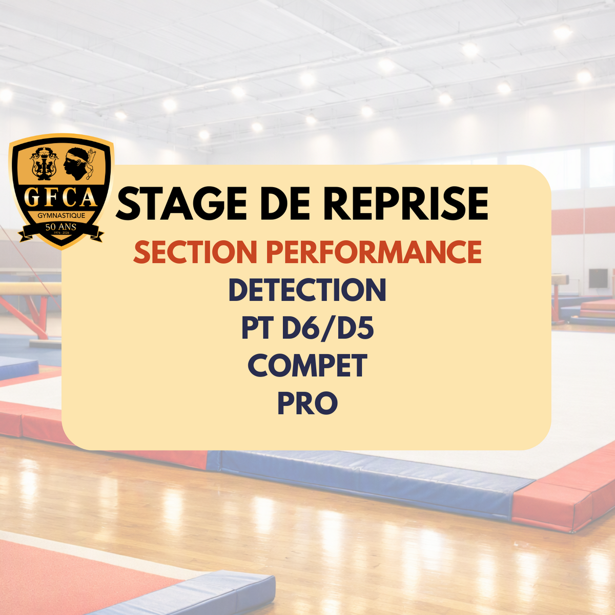 STAGE DE REPRISE SECTION PERFORMANCE