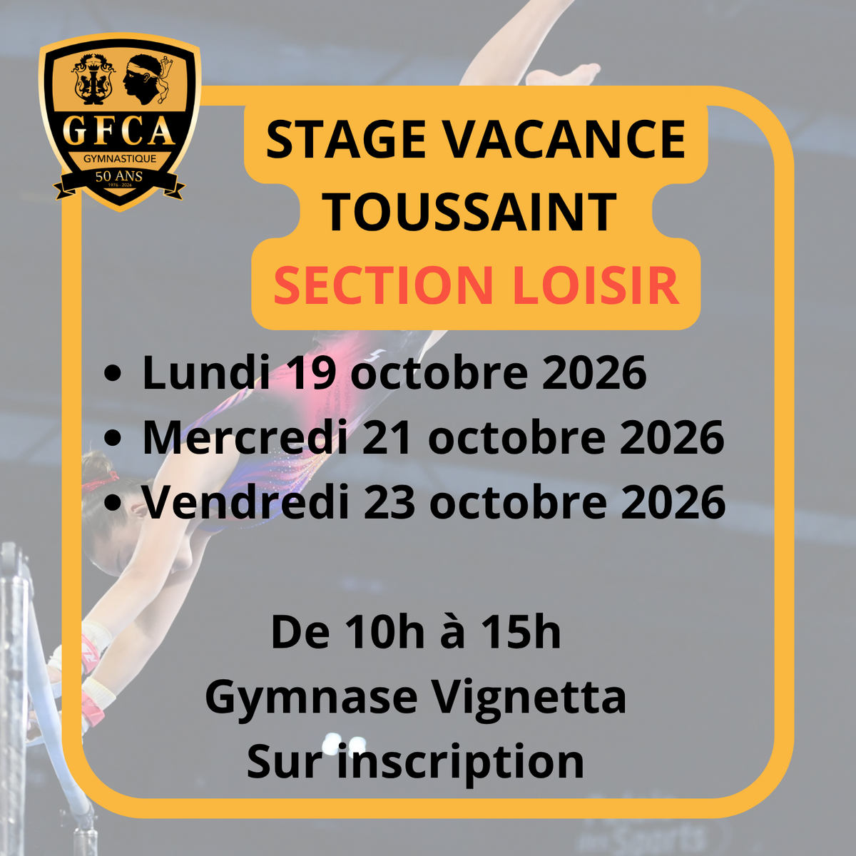 STAGE VACANCE TOUSSAINT SECTION LOISIR