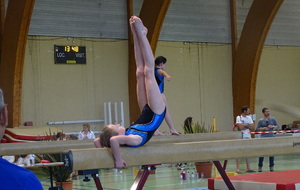 DEVISE DU GFCA GYMNASTIQUE