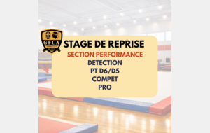STAGE DE REPRISE SECTION PERFORMANCE