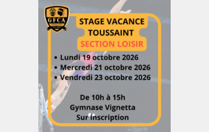 STAGE VACANCE TOUSSAINT SECTION LOISIR
