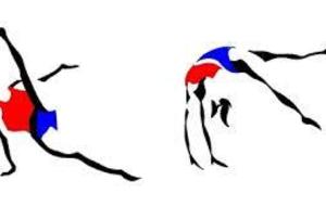 PARCOURS NIVEAU 1 - AJACCIO - GAF et GAM