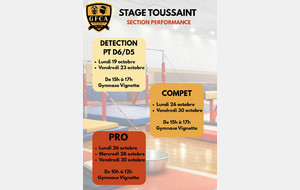 STAGE VACANCE TOUSSAINT PRO 2026