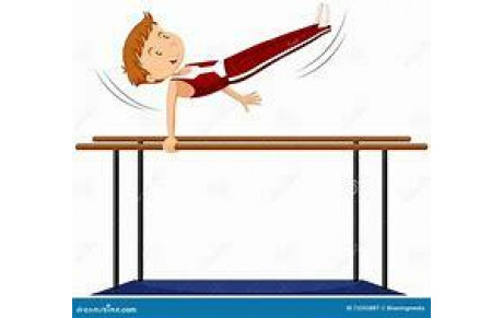 GYMNASTIQUE MASCULINE (GAM)