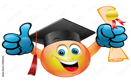 DIPLOME JUGE NIVEAU 2