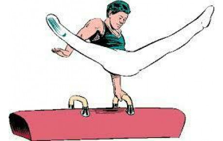 GYMNASTIQUE ARTISTIQUE MASCULINE - GAM