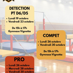 STAGE VACANCE TOUSSAINT PRO 2026